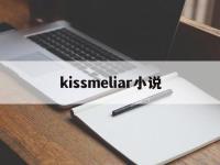 kissmeliar小说(深蓝之吻小说17章中文翻译)